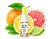 Load image into Gallery viewer, Bowl Scents Pre-Poop Toilet Spray | Spritz, Sit & Go | Prevent smelly odor before it begins